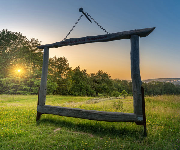 Blick ins Grüne