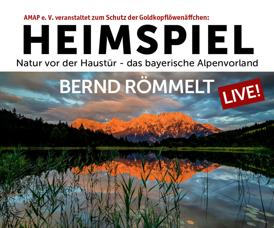 Bernd Römmelt Heimspiel